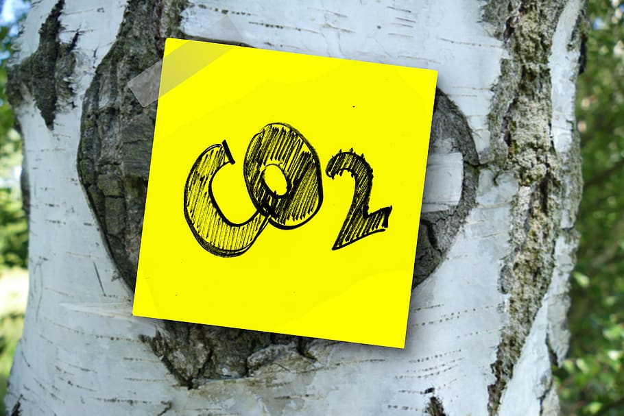 Karbon yakalamada yeni teknoloji: Mekanik Ağaçlar