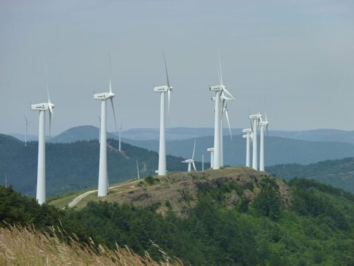 Türkiye’de 2021’de rüzgâr ve güneşe dayalı elektrik üretimi arttı