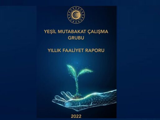 Yeşil Mutabakat Eylem Planı Faaliyet Raporu 2022 yayımlandı