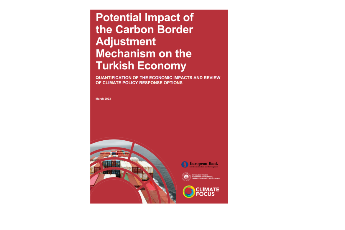 Sınırda Karbon Düzenleme Mekanizması, Türkiye ekonomisini nasıl etkileyecek?
