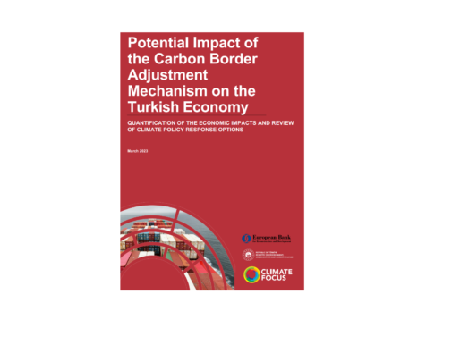 Sınırda Karbon Düzenleme Mekanizması, Türkiye ekonomisini nasıl etkileyecek?