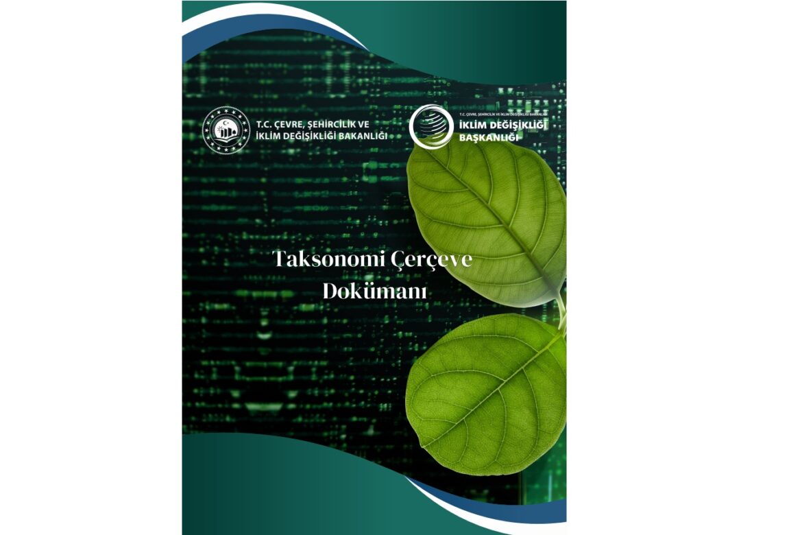 Taksonomi Çerçeve Dokümanı yayımlandı