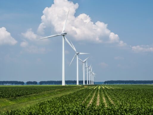 Avrupa Birliği, rüzgâr enerjisi sektörünü geliştirmek için harekete geçiyor