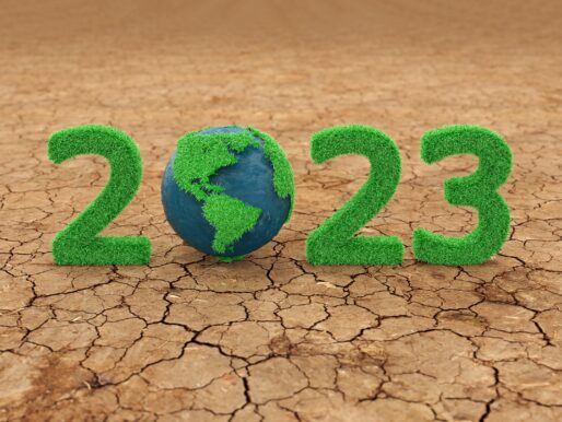 2023, küresel iklim eylemleri açısından önemli gelişmelere tanıklık etti