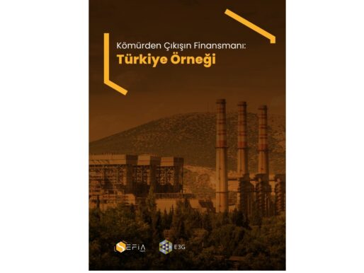 Türkiye’de kömürlü termik santraller 45 milyar dolar zarar edebilir