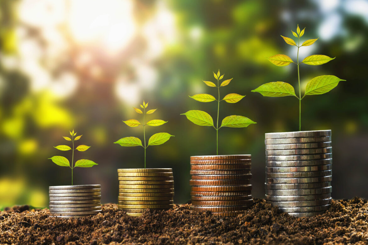 Yeşil İklim Fonu, iklim krizine karşı 1,2 milyar dolarlık yatırımı onayladı