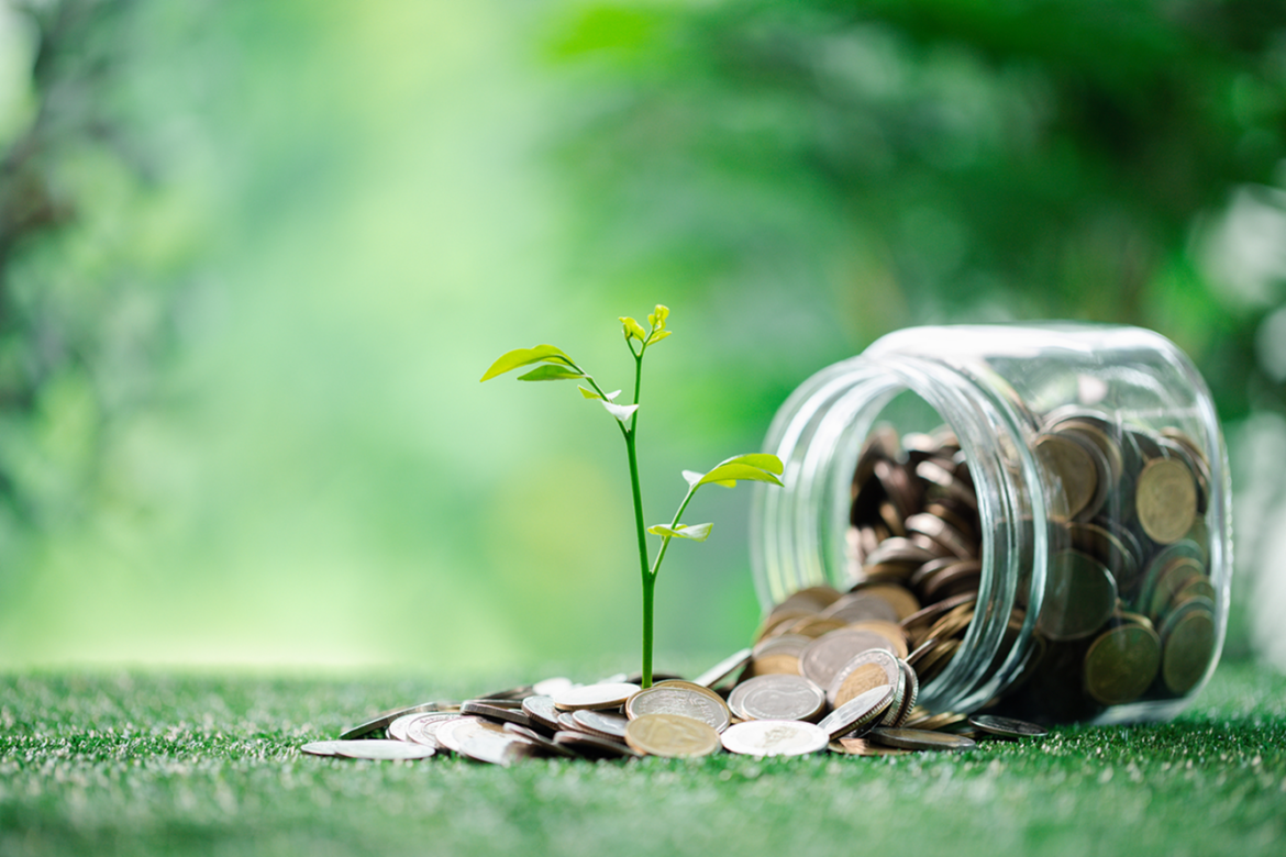 Bankacılık sektörünün iklimle mücadeledeki rolü güçleniyor