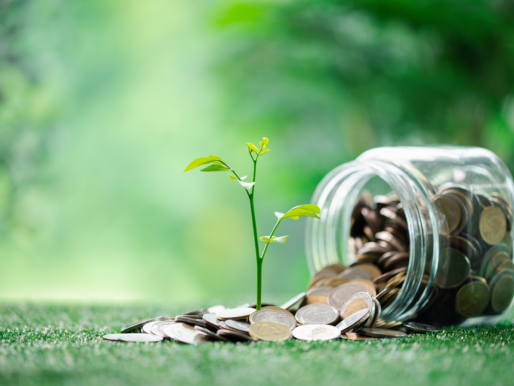 Bankacılık sektörünün iklimle mücadeledeki rolü güçleniyor