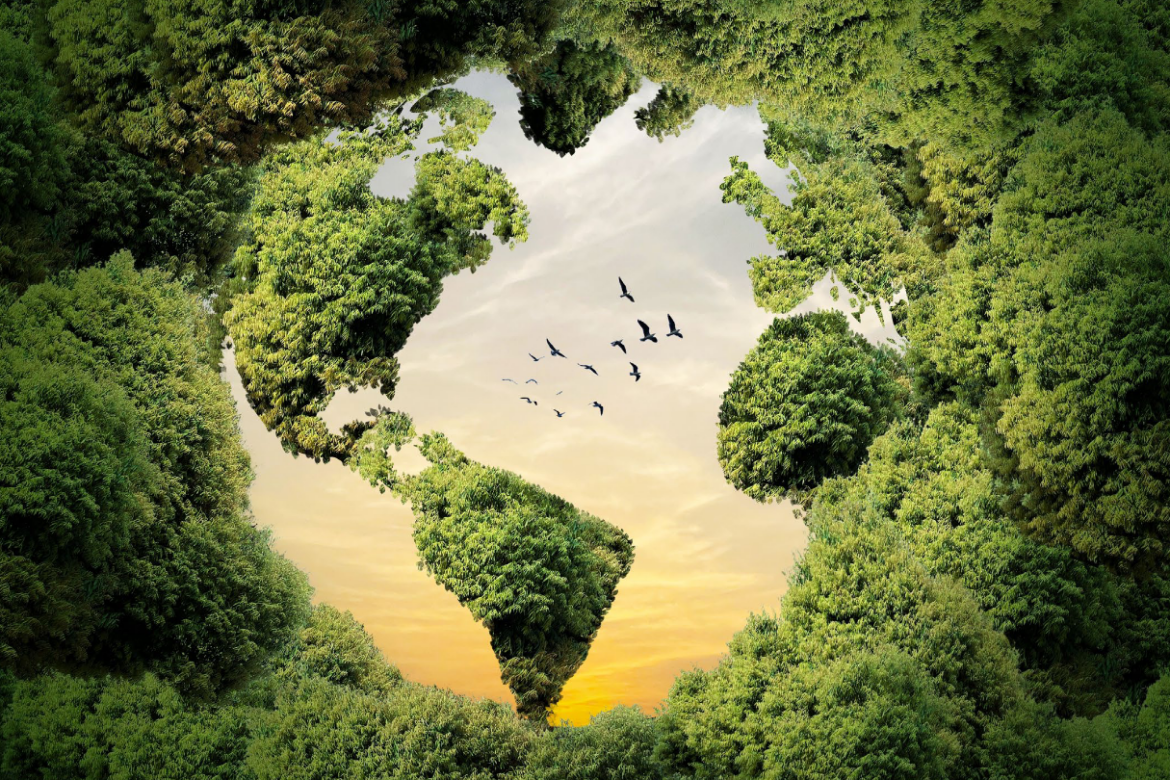 Ekolojik miyopluk: İklim eylemini engelleyen kör nokta