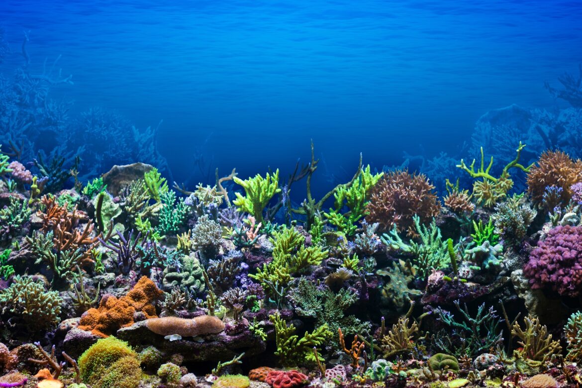 BM Biyoçeşitlilik Anlaşması yürürlüğe girdi