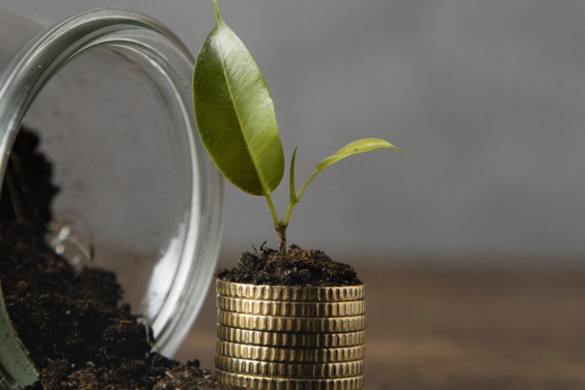 İklim gündemini artık sermaye piyasaları belirliyor  