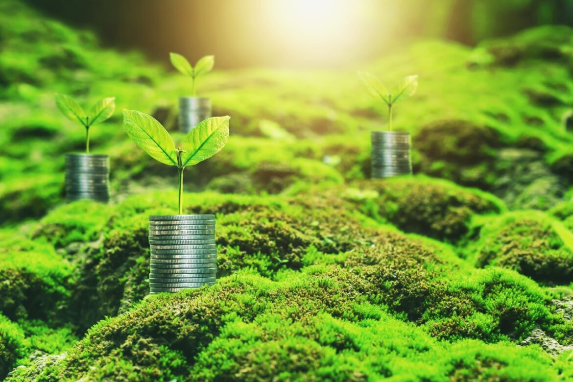 Yeşil ve Sürdürülebilir Tahvil İhraçları Üçüncü Yıl Üst Üste 1 Trilyon Doları Aştı